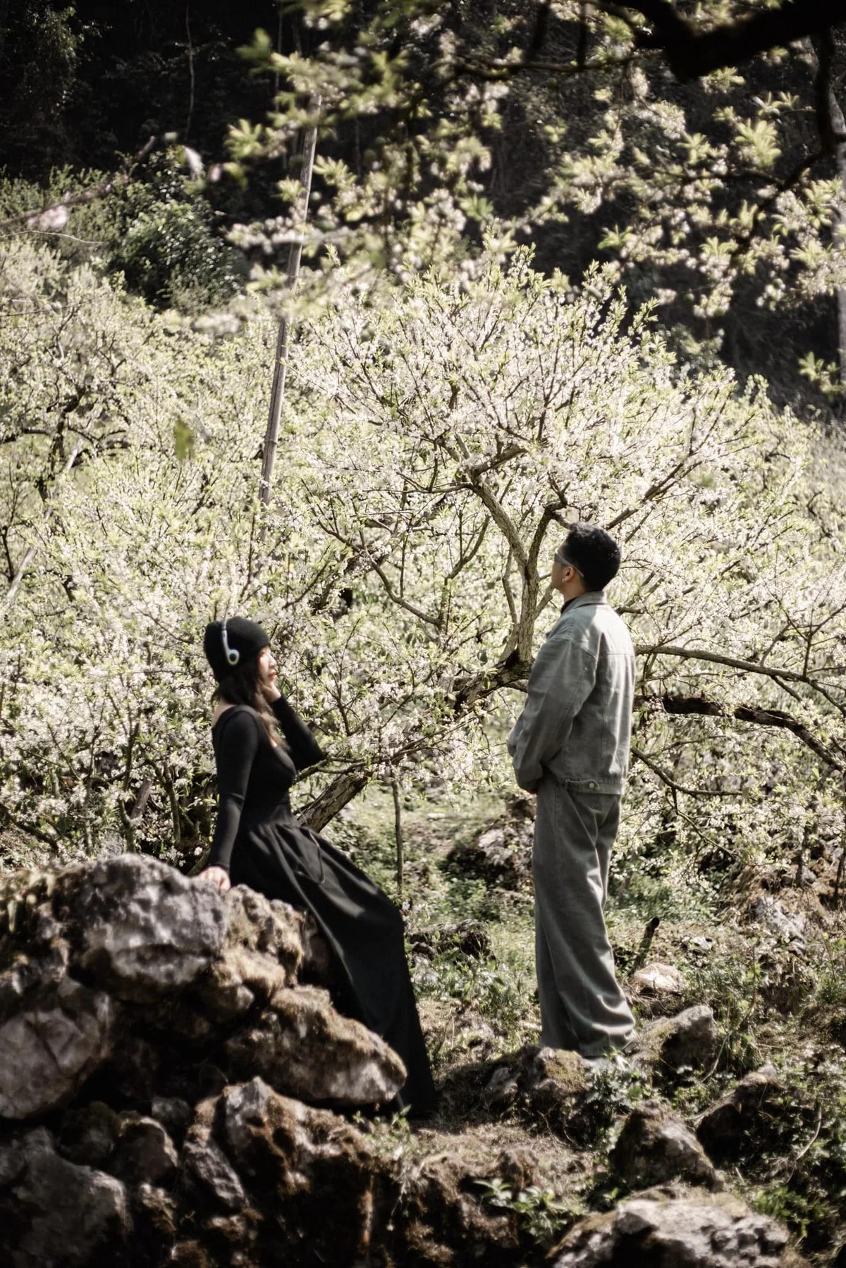 Springtime Magic in Moc Chau: Exploring the White Plum Blossom Valleys of Na Ka and Mu Nau for the Perfect Travel Photos