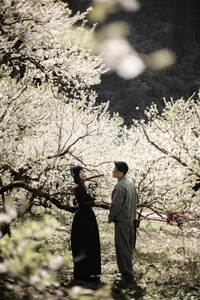 Springtime Magic in Moc Chau: Exploring the White Plum Blossom Valleys of Na Ka and Mu Nau for the Perfect Travel Photos - image 3