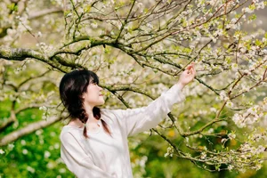 Springtime Magic in Moc Chau: Exploring the White Plum Blossom Valleys of Na Ka and Mu Nau for the Perfect Travel Photos - image 6