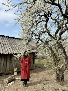 Springtime Magic in Moc Chau: Exploring the White Plum Blossom Valleys of Na Ka and Mu Nau for the Perfect Travel Photos - image 5