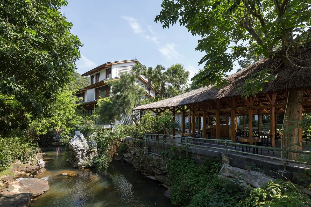 Architectural Marvels: The Stunning Curved Wooden Restaurant Nestled in Hanoi's Lush Forest