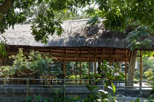 Architectural Marvels: The Stunning Curved Wooden Restaurant Nestled in Hanoi's Lush Forest - image 9