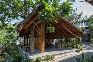 Architectural Marvels: The Stunning Curved Wooden Restaurant Nestled in Hanoi's Lush Forest - image 2