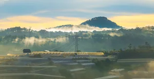Chasing the Mist: The Best Hills in Da Lat for Early Morning Photography - image 7