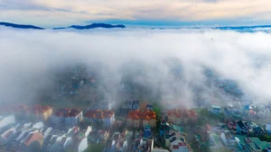 Chasing the Mist: The Best Hills in Da Lat for Early Morning Photography - image 2