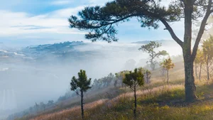 Chasing the Mist: The Best Hills in Da Lat for Early Morning Photography - image 11