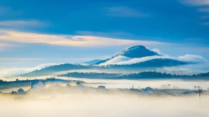 Chasing the Mist: The Best Hills in Da Lat for Early Morning Photography - image 8