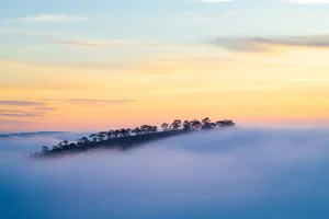 Chasing the Mist: The Best Hills in Da Lat for Early Morning Photography - image 3