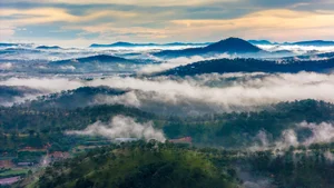 Chasing the Mist: The Best Hills in Da Lat for Early Morning Photography - image 10
