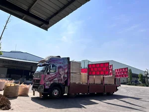 Breaking Stereotypes: The Beautiful Female Truck Driver Conquering Northern Routes - image 3