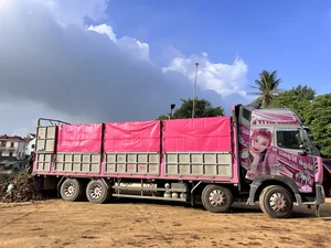 Breaking Stereotypes: The Beautiful Female Truck Driver Conquering Northern Routes - image 0