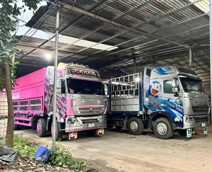 Breaking Stereotypes: The Beautiful Female Truck Driver Conquering Northern Routes - image 4
