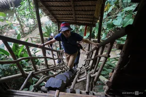 Exploring the Dayak Tribe: The Former Headhunters of Borneo Island - image 2