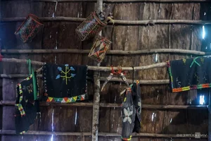 Exploring the Dayak Tribe: The Former Headhunters of Borneo Island - image 3