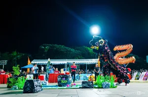Quy Nhon Lion Dance Competition: 29 Teams Compete in a Cultural Spectacle - image 2