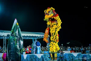 Quy Nhon Lion Dance Competition: 29 Teams Compete in a Cultural Spectacle - image 4