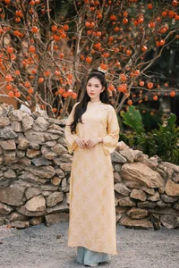 Elegant Vietnamese Áo Dài Style: Ngọc Trinh Showcases Timeless Grace and Cultural Sophistication in Traditional Silk Fashion - image 4