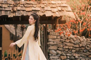 Elegant Vietnamese Áo Dài Style: Ngọc Trinh Showcases Timeless Grace and Cultural Sophistication in Traditional Silk Fashion - image 7