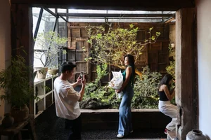 A Cultural Oasis: Exploring the 500-Ceramic Cafe in Ho Chi Minh City - image 10