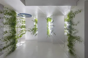 Award-Winning Architecture: Discovering the Unique Design of This Stunning Townhouse in Binh Duong - image 3