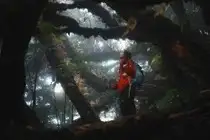 Conquer Ky Quan San: Witness the majestic sea of clouds after a challenging journey to the Northwest peak - image 0