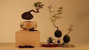 The Magic of Air Bonsai: Stunning Floating Trees That Defy Gravity - image 1