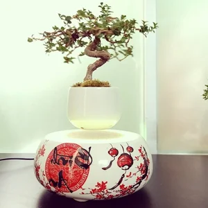 The Magic of Air Bonsai: Stunning Floating Trees That Defy Gravity - image 2