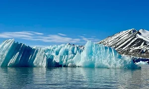 Luxury Arctic Travel: Polar Bears and Icebergs Expedition Experience - image 1