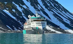 Luxury Arctic Travel: Polar Bears and Icebergs Expedition Experience - image 3
