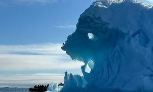 Luxury Arctic Travel: Polar Bears and Icebergs Expedition Experience - image 4