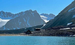 Luxury Arctic Travel: Polar Bears and Icebergs Expedition Experience - image 9