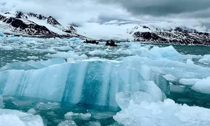 Luxury Arctic Travel: Polar Bears and Icebergs Expedition Experience - image 5