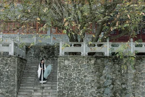 Captivating Artistry in YiTuYu Art Language Vol.4796 Wan Jiang Ting - image 2