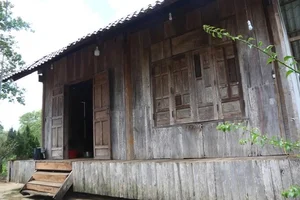 Innovative Rotating House in Dak Lak: A Masterpiece of Functional Architecture and Weather Resistance - image 1