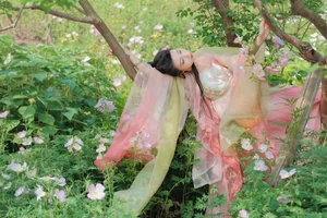 Artistic Expression in YiTuYu Art Language Vol.4267 Lan Yin Shu Zhuang Ji - image 13