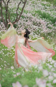 Artistic Expression in YiTuYu Art Language Vol.4267 Lan Yin Shu Zhuang Ji - image 9
