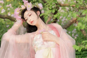 Artistic Expression in YiTuYu Art Language Vol.4267 Lan Yin Shu Zhuang Ji - image 12