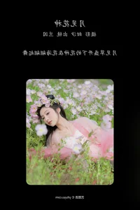 Artistic Expression in YiTuYu Art Language Vol.4267 Lan Yin Shu Zhuang Ji - image 3