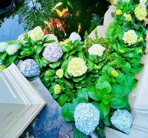 Inside the Breathtaking Floral Villa of Northern Vietnam's Wealthiest Celebrity Star - image 4