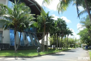 The Three Conical Hats Theater: A Cultural Landmark in Bac Lieu - image 0