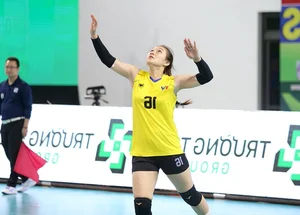The Grace of Athletes: Celebrating the Beauty and Skill of Professional Volleyball Stars - image 0