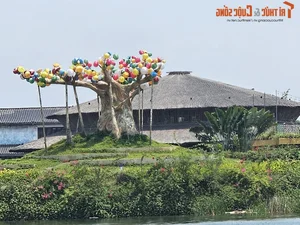 A Closer Look at the Regulatory Violations Surrounding Hoi An Impression Theme Park - image 2