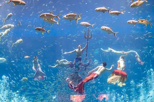 Phu Quoc Travel Guide: Unique Summer Experiences on Vietnam’s Emerald Island - image 6
