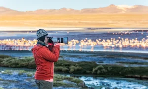 Vietnamese Travelers Explore Pink Flamingos in Bolivia - image 0