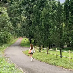 Discover Ankroet Dam Da Lat: A 'Hidden Paradise' with majestic waterfalls, ideal for stunning photos amidst wild mountains. - image 2