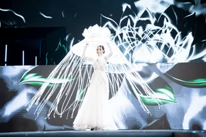 Top 10 Most Stunning National Costumes at Miss Grand Vietnam Featuring Le Nam - image 10