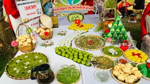 Gia Lai Culinary Guide: Discovering the Fusion of Forest and Sea Flavors in Vietnam's Mountain City - image 1