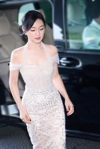 Timeless Elegance: Stunning Chinese Actresses Who Redefine Beauty and Grace at Age 50 - image 0