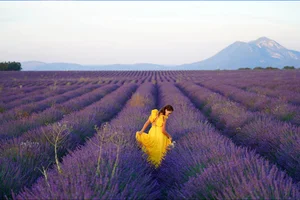 Top 10 Most Fragrant Destinations Around the World for Sensory Travel - image 6