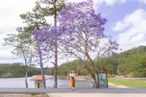 A 3-Day Da Lat Adventure: Exploring the City of Eternal Spring Beyond the Usual Tourist Path - image 4